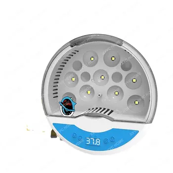Inkubátor Háztartási Tojás Inkubátor Mini Automatikus, Állandó Hőmérséklet Inkubátor 9 Db