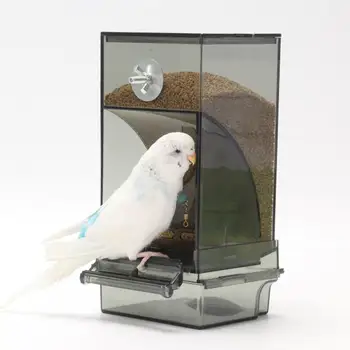 Madáretető a Sügér Átlátszó Papagáj Víz a Kis Madarak Papagáj Kakadu Kanári jaulas para madarak